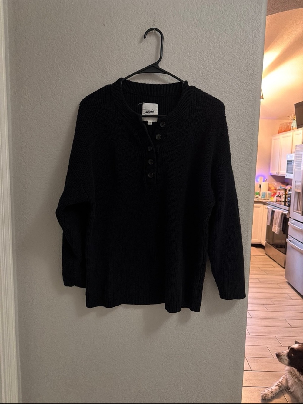 aerie Men's Black Crewneck Henley Sweater